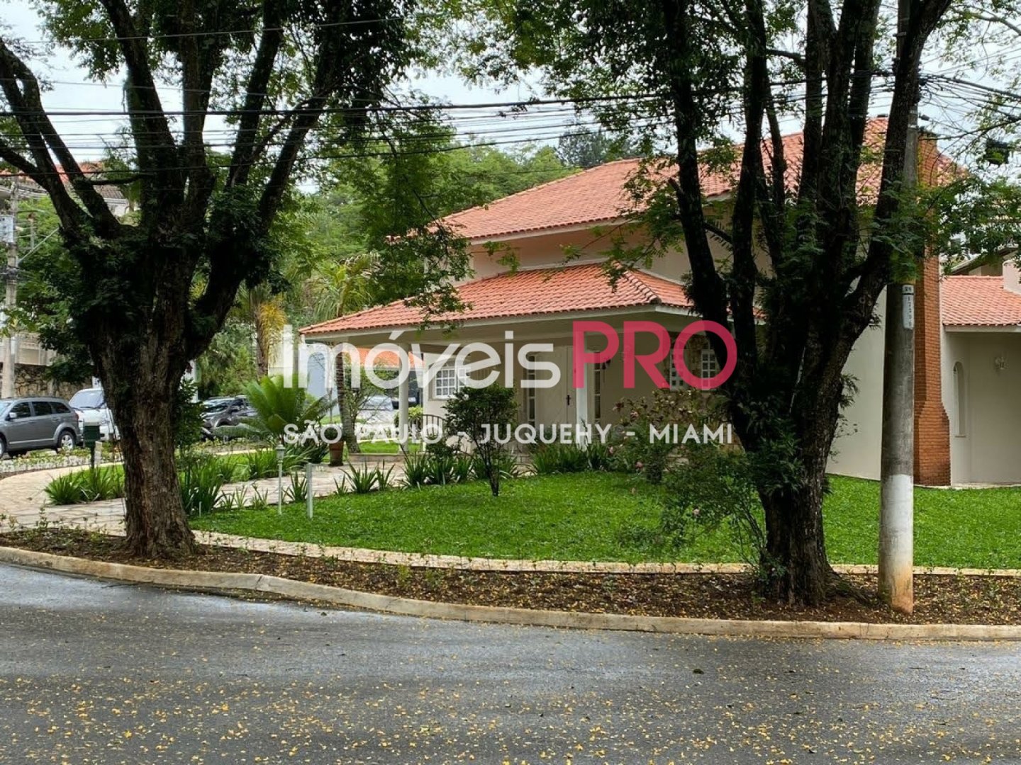 Foto :: IP39845