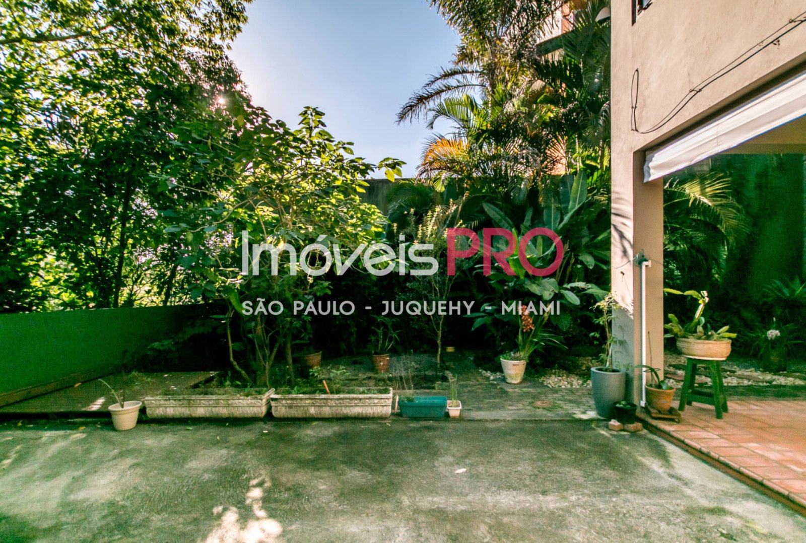 Foto :: IP39846
