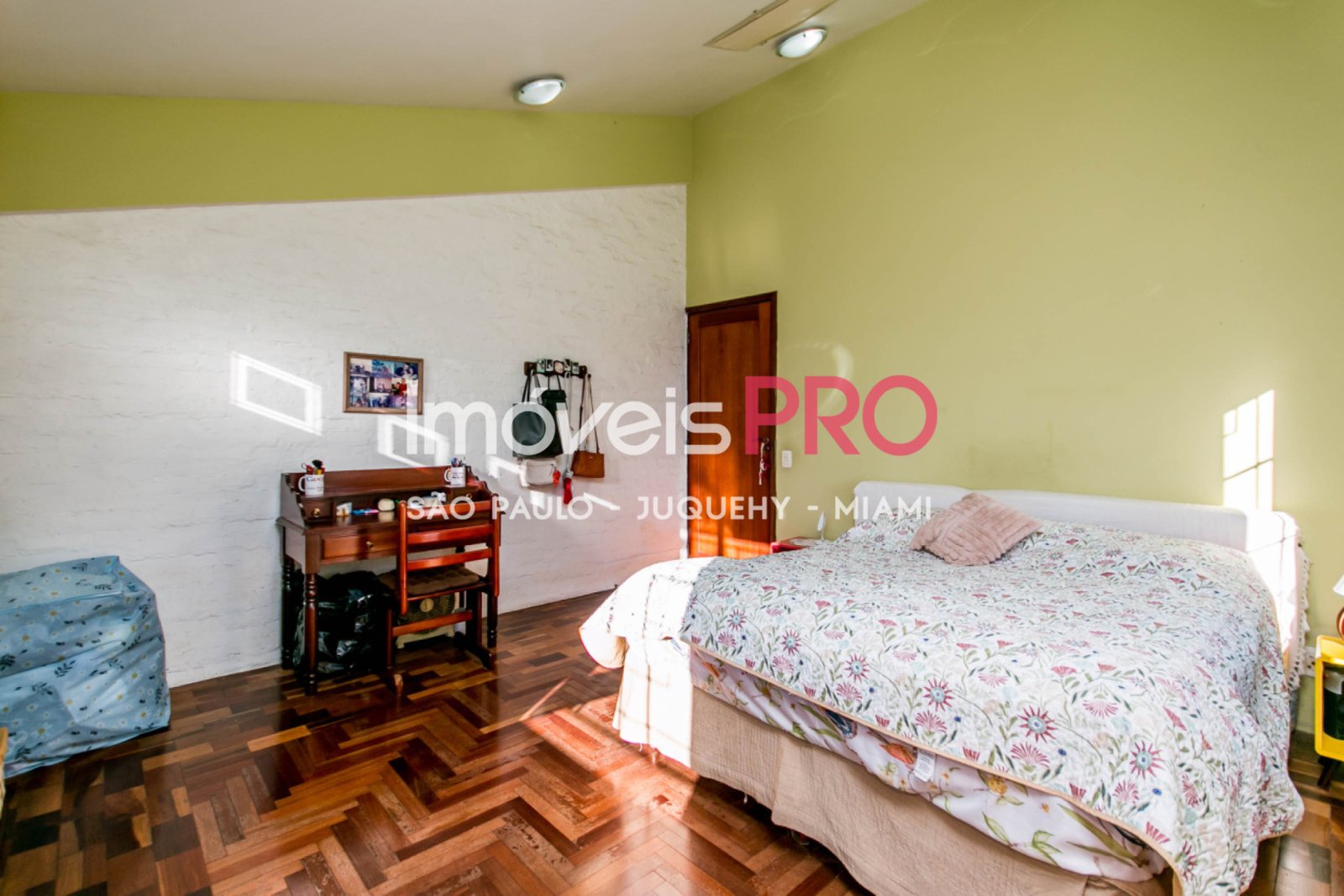 Foto :: IP39846