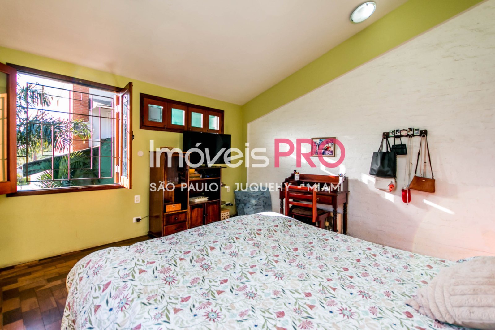 Foto :: IP39846