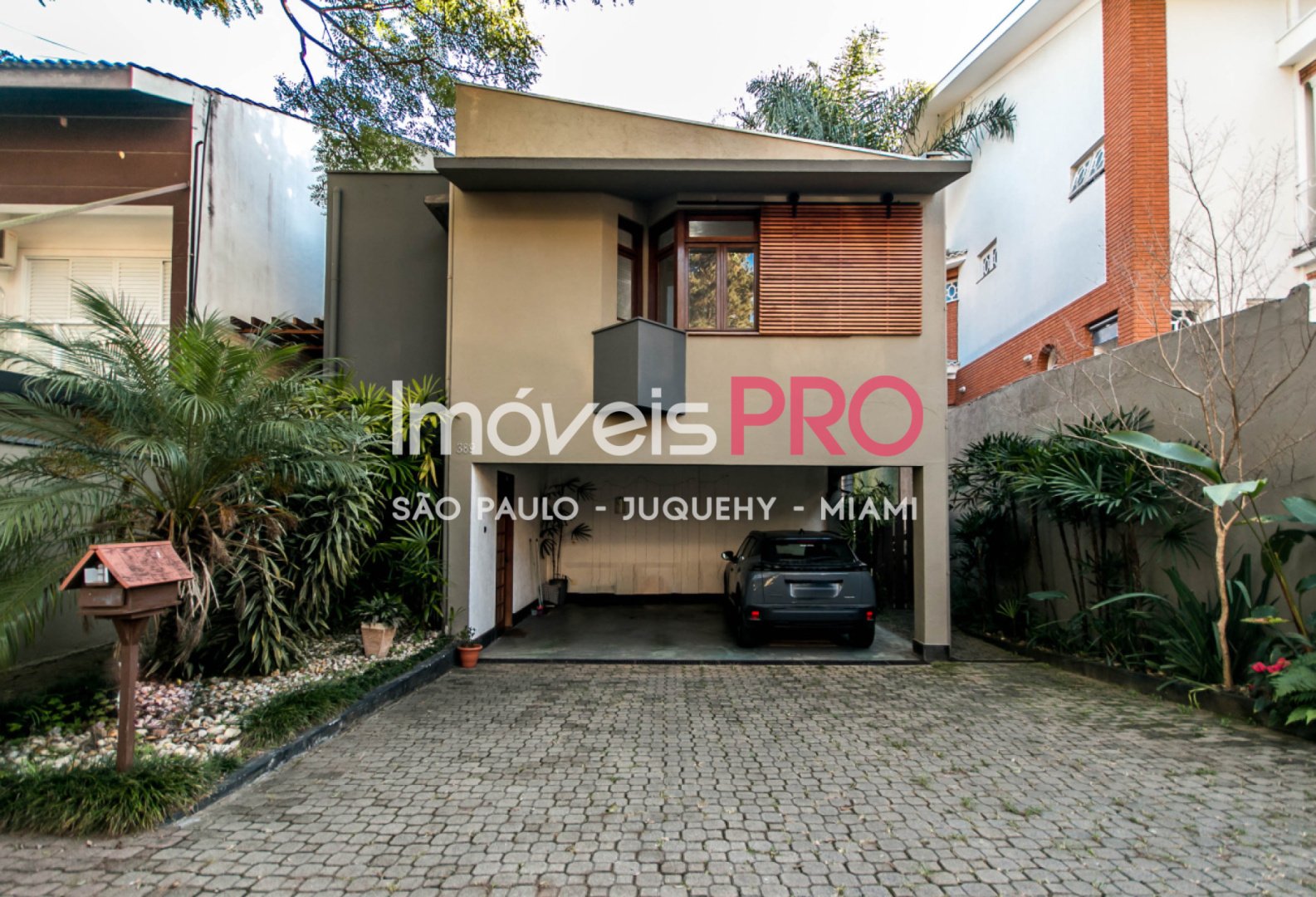 Foto :: IP39846