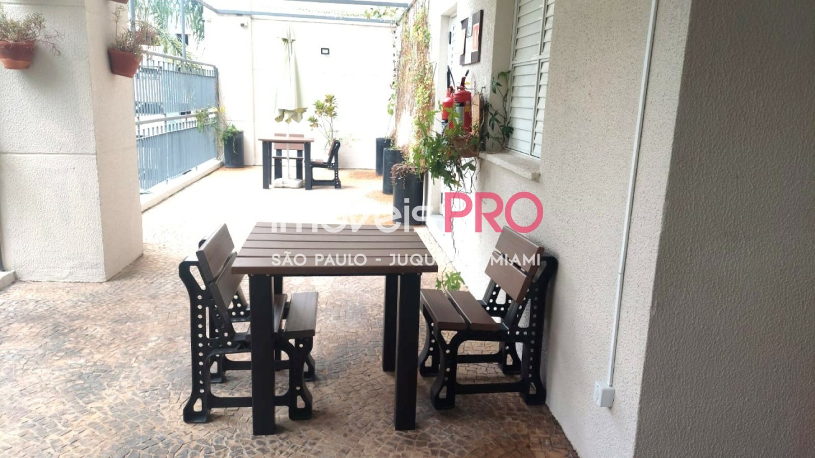 Foto :: IP39859
