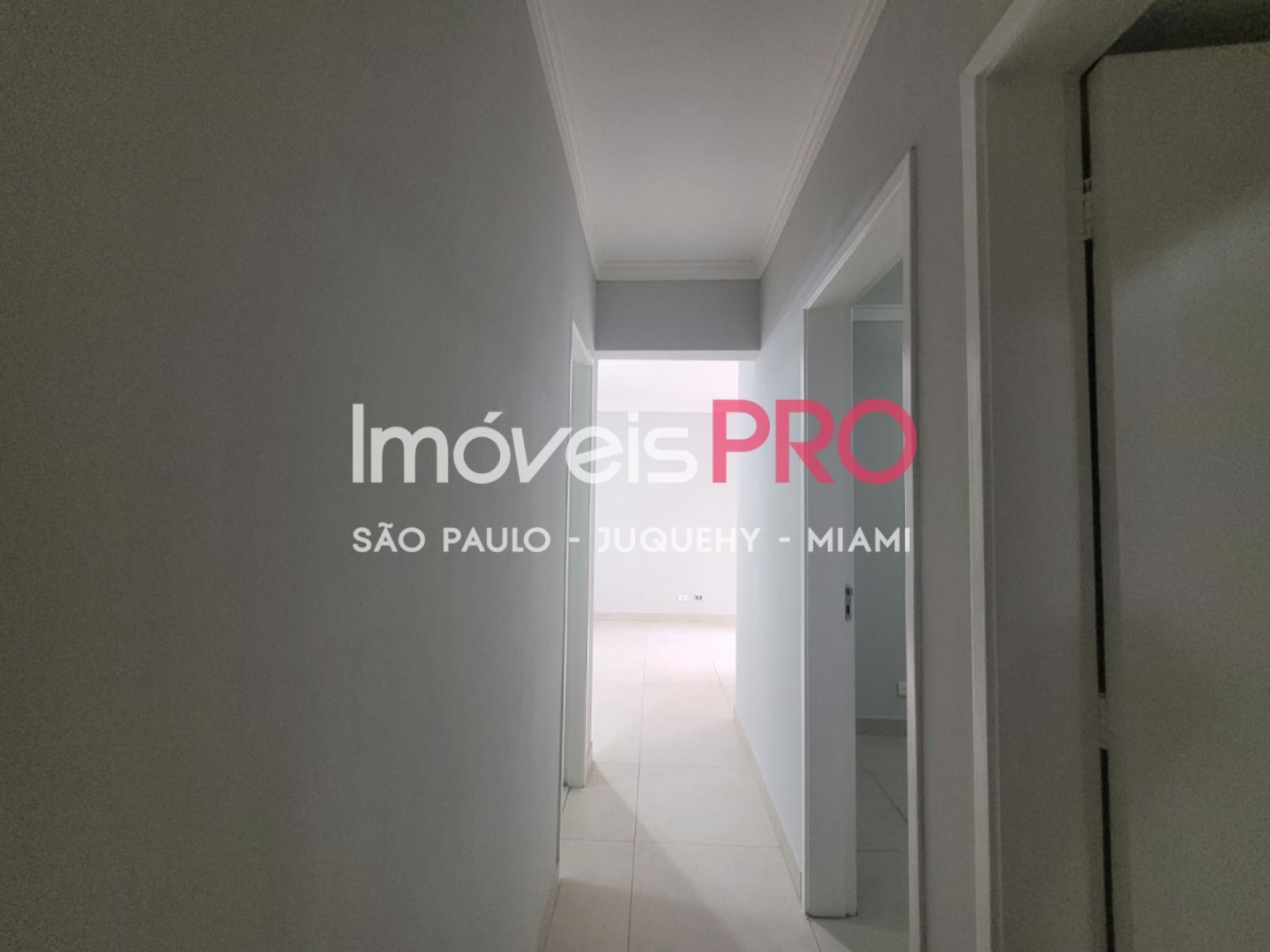 Foto :: IP39860