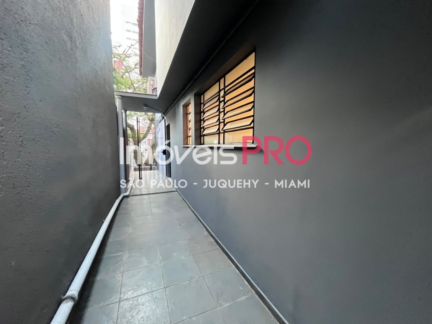 Foto :: IP39862