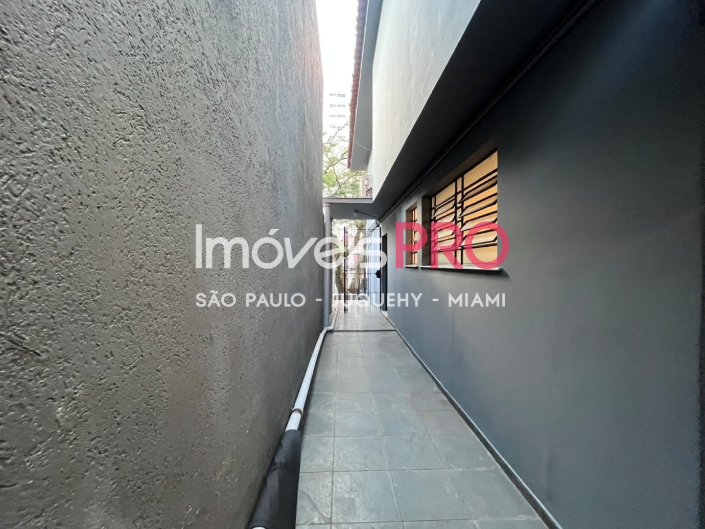 Foto :: IP39862