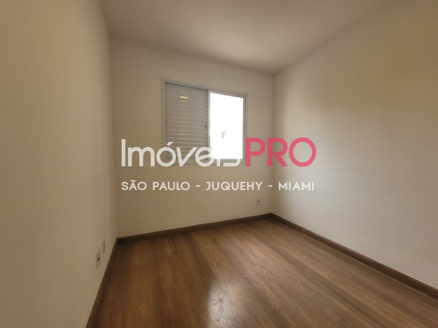 Foto :: IP39869
