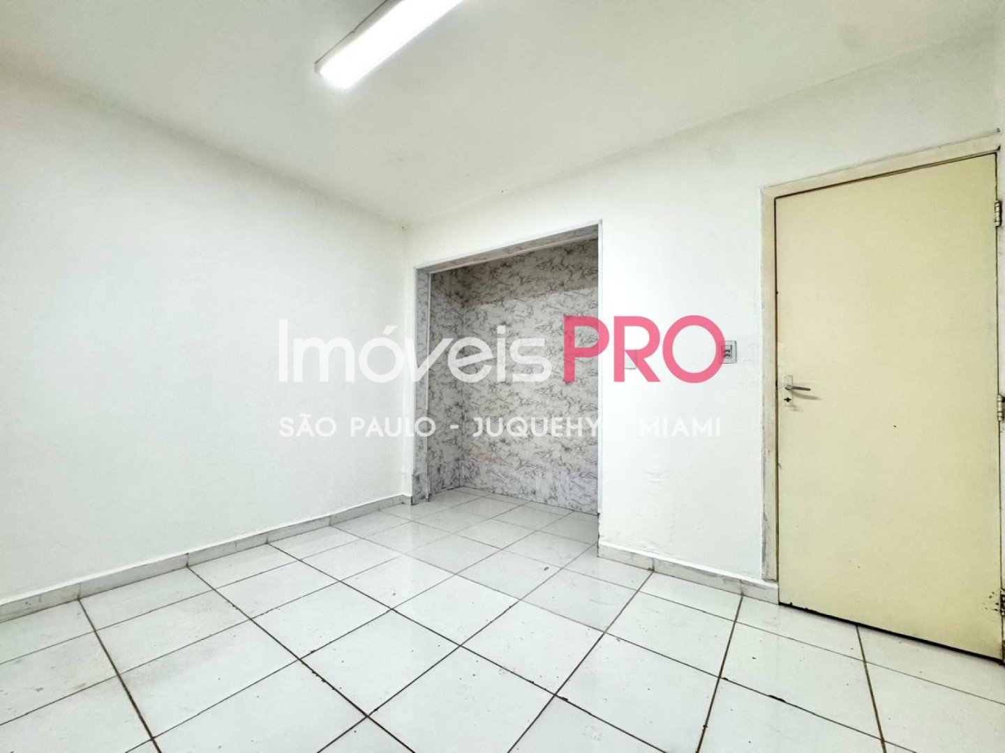 Foto :: IP39874
