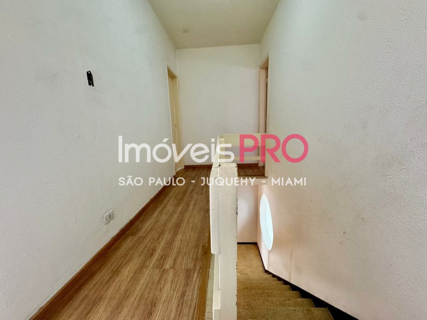 Foto :: IP39874