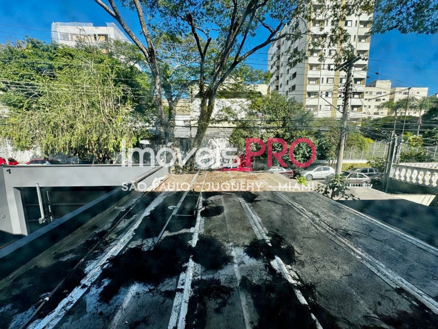 Foto :: IP39874