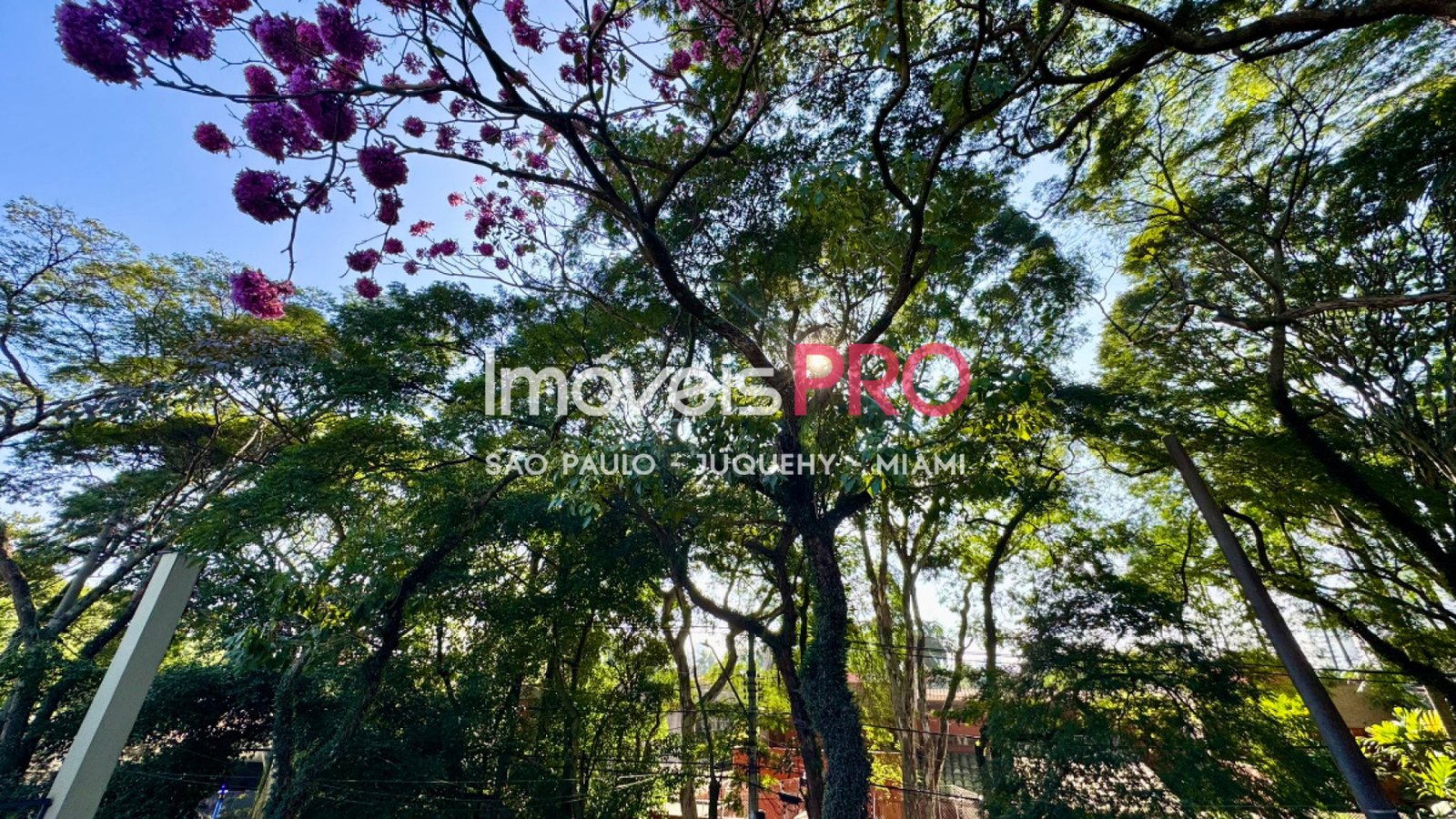 Foto :: IP39877