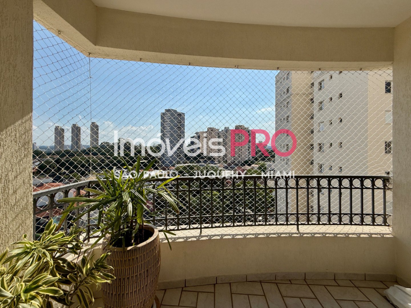 Foto :: IP39878