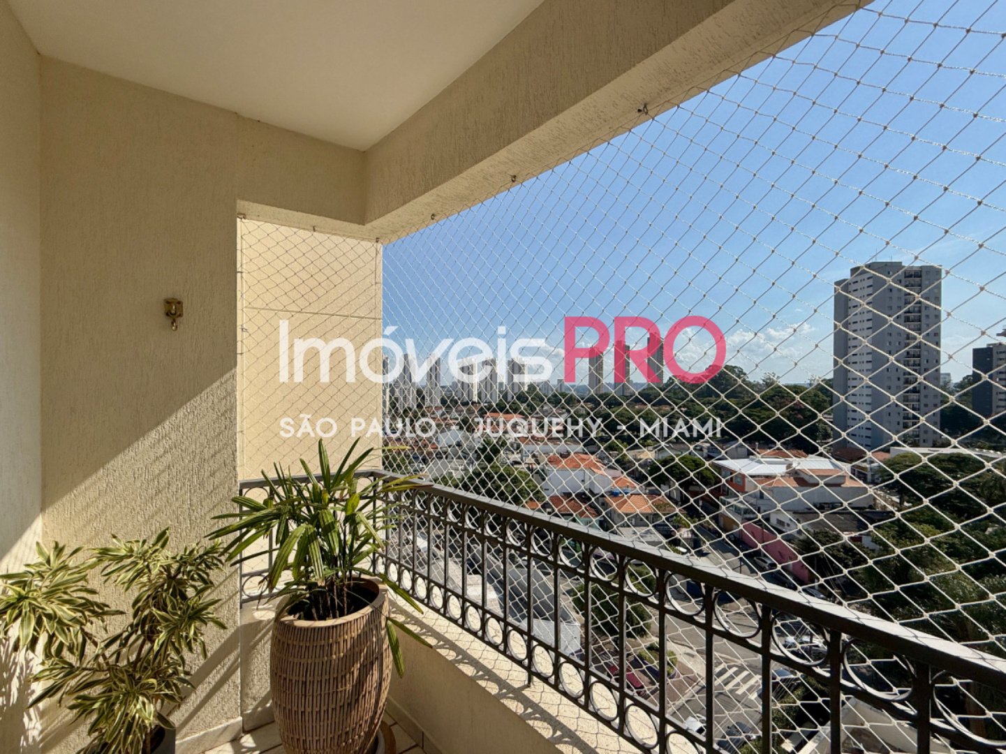 Foto :: IP39878