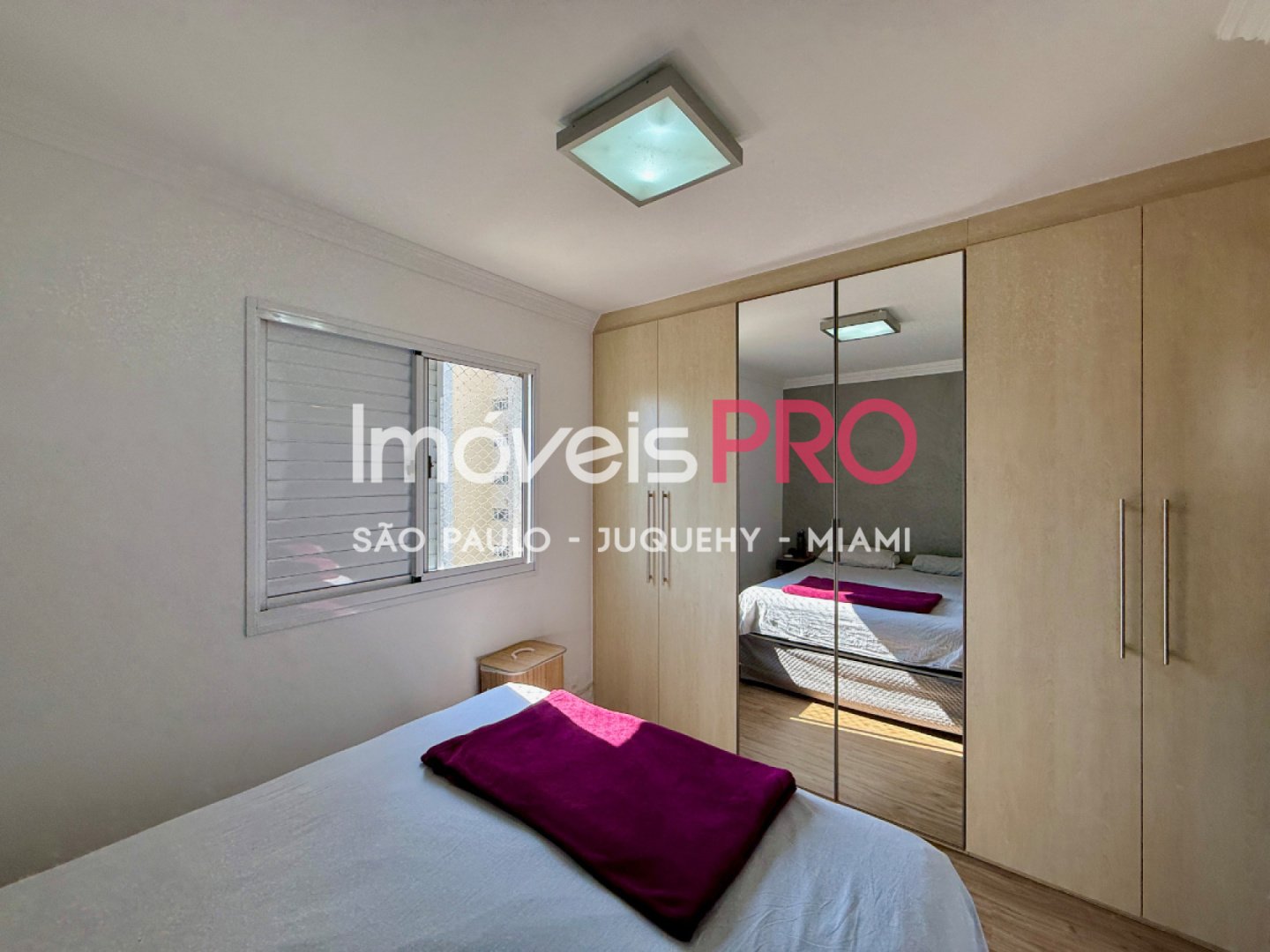Foto :: IP39878