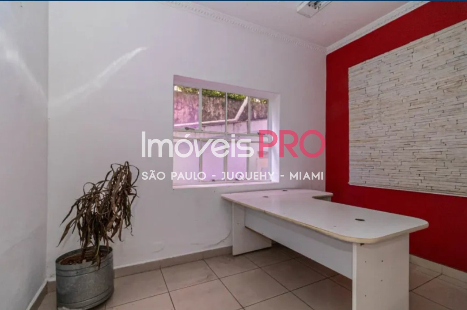 Foto :: IP39879