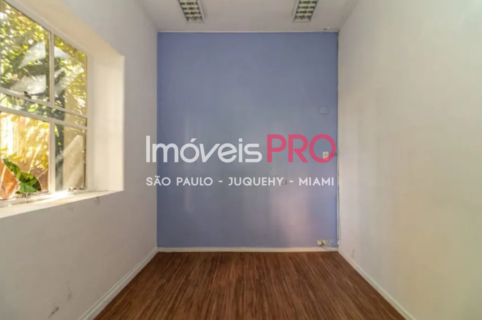 Foto :: IP39879
