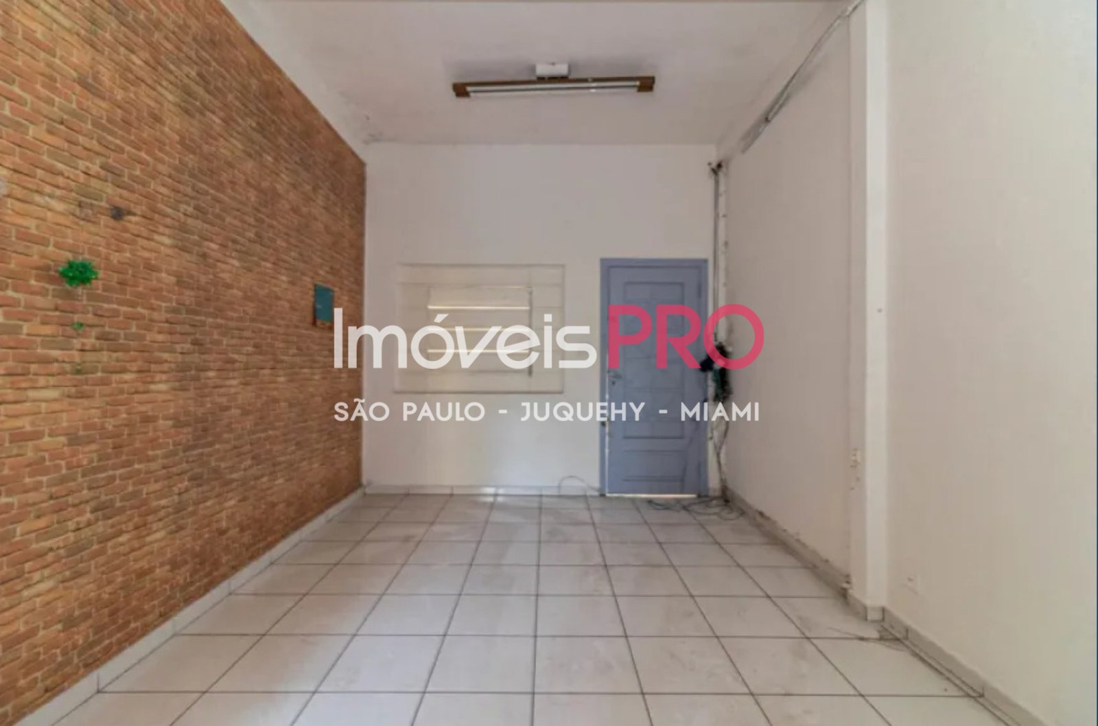 Foto :: IP39879