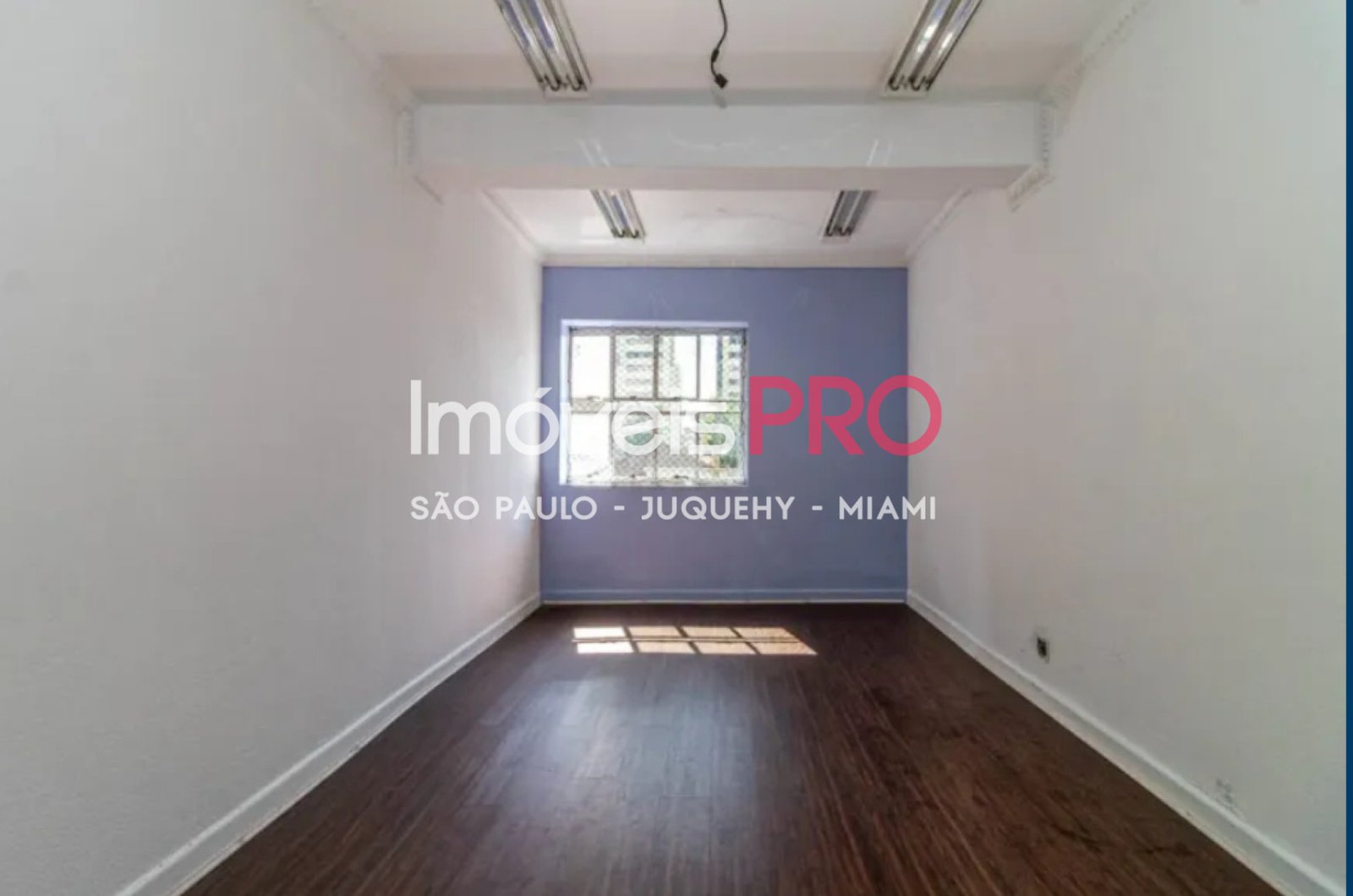 Foto :: IP39879