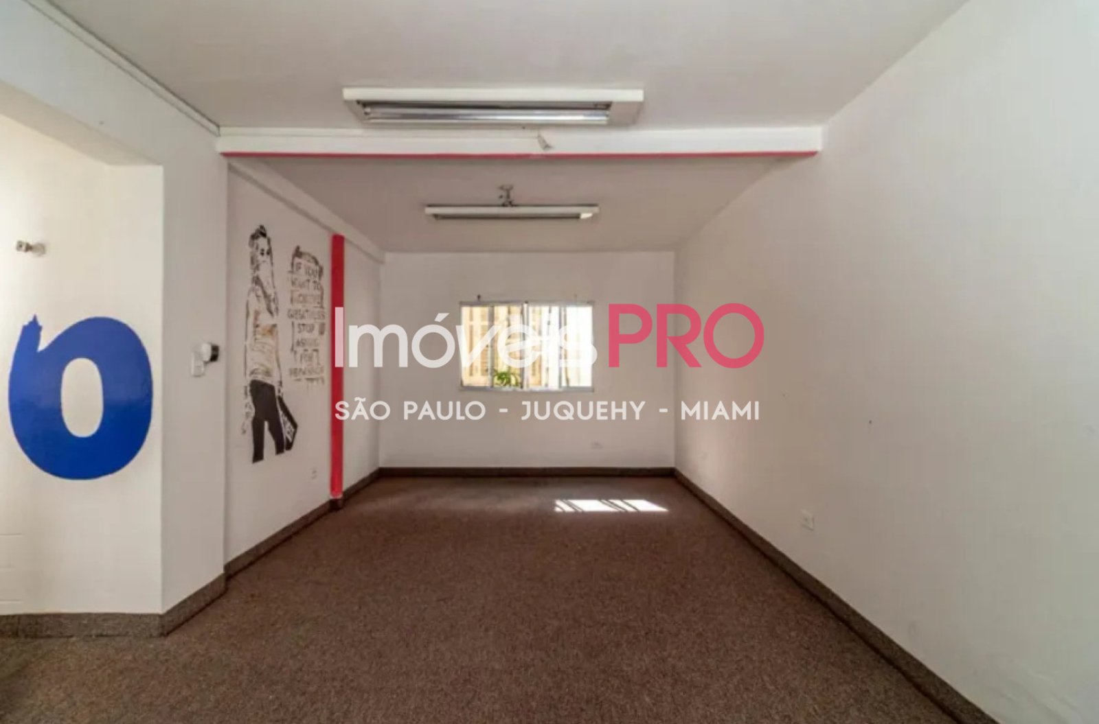 Foto :: IP39879