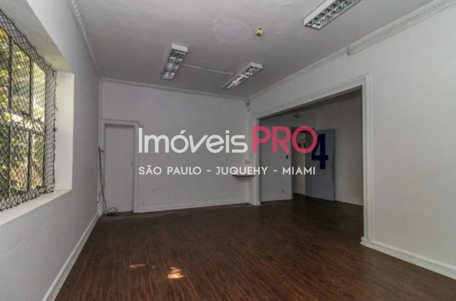 Foto :: IP39879