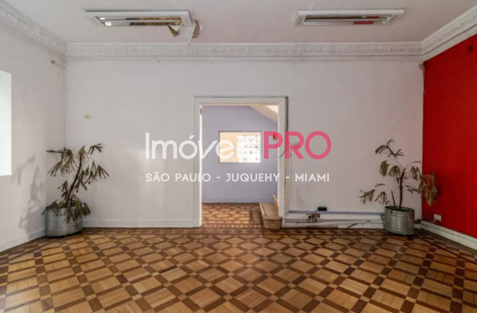 Foto :: IP39879