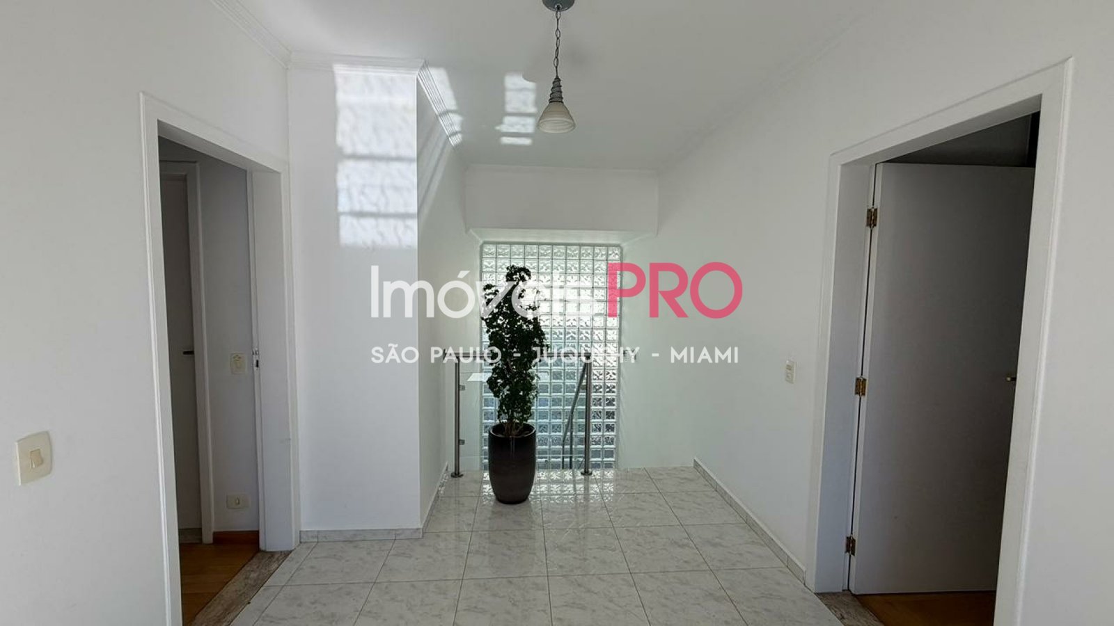 Foto :: IP39887