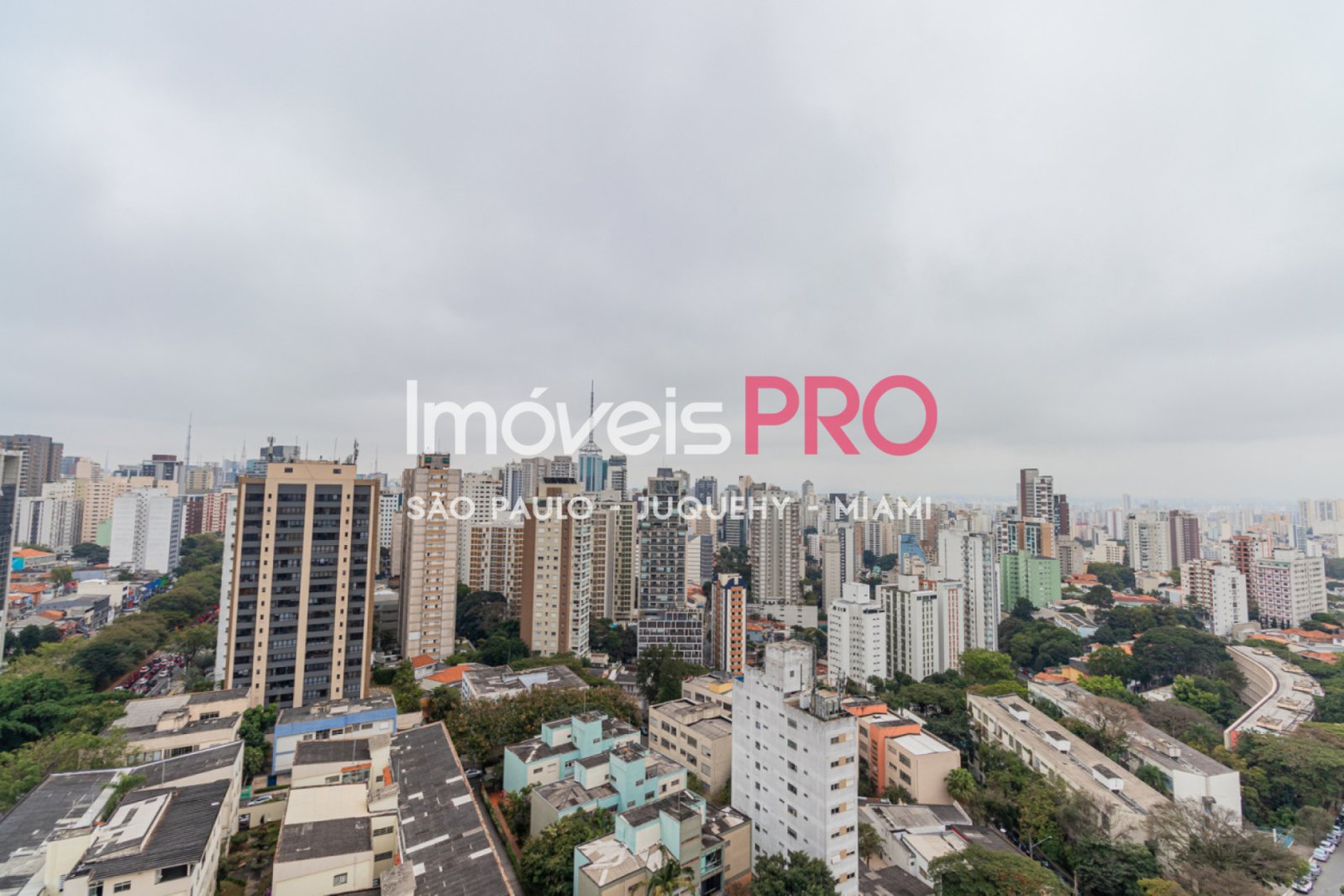 Foto :: IP39902