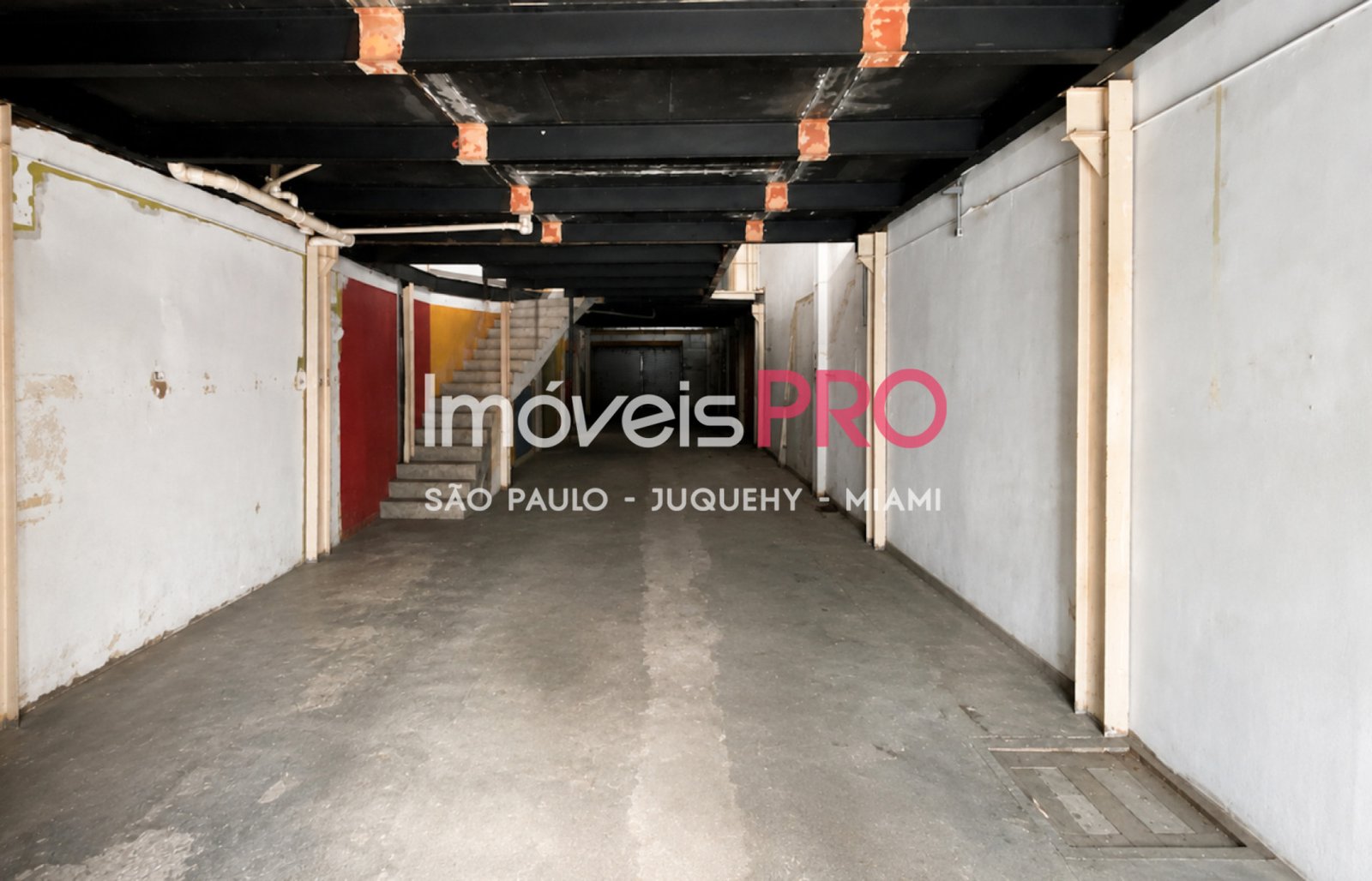 Foto :: IP39903
