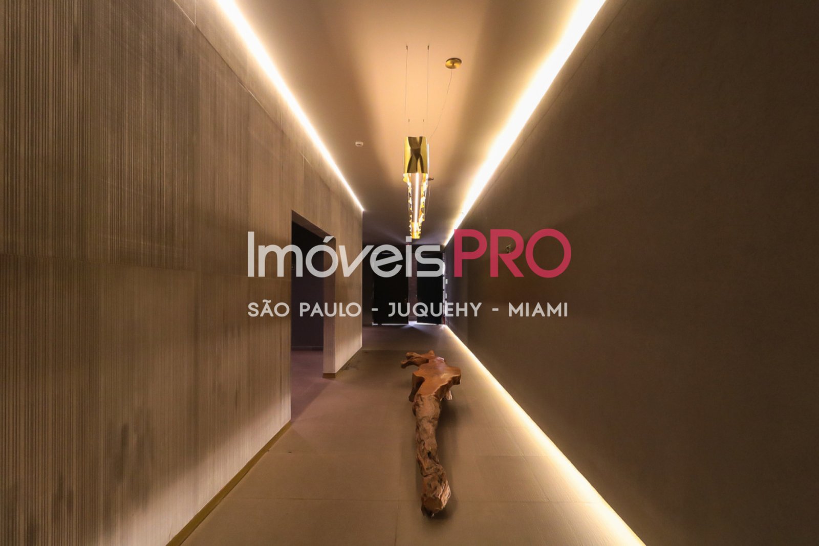 Foto :: IP39905