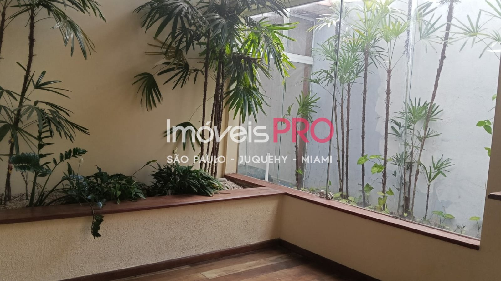Foto :: IP39906