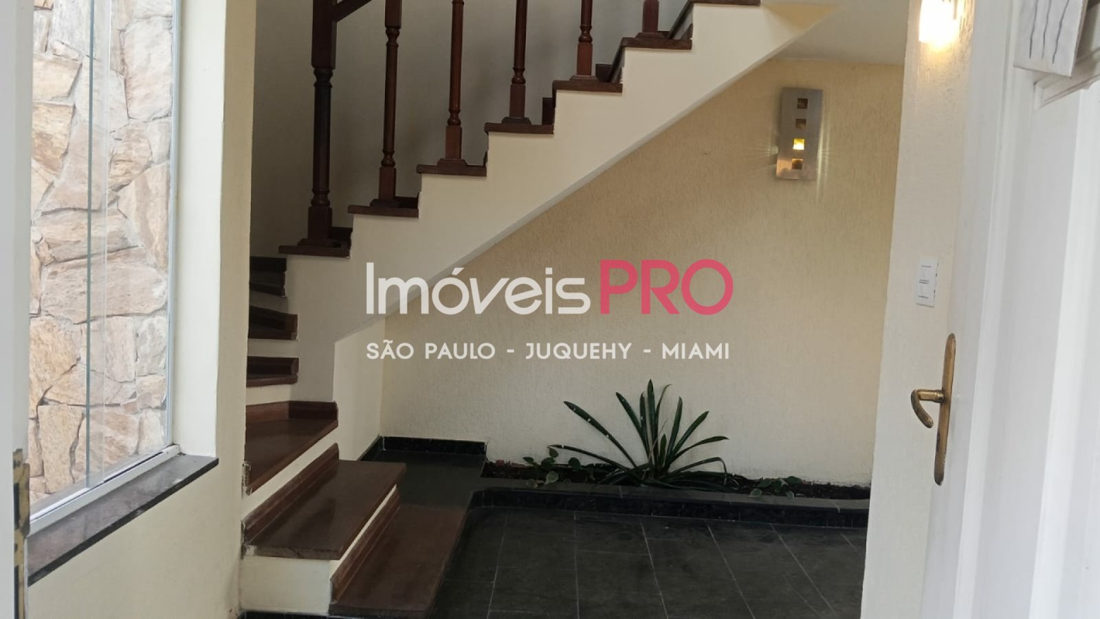 Foto :: IP39906