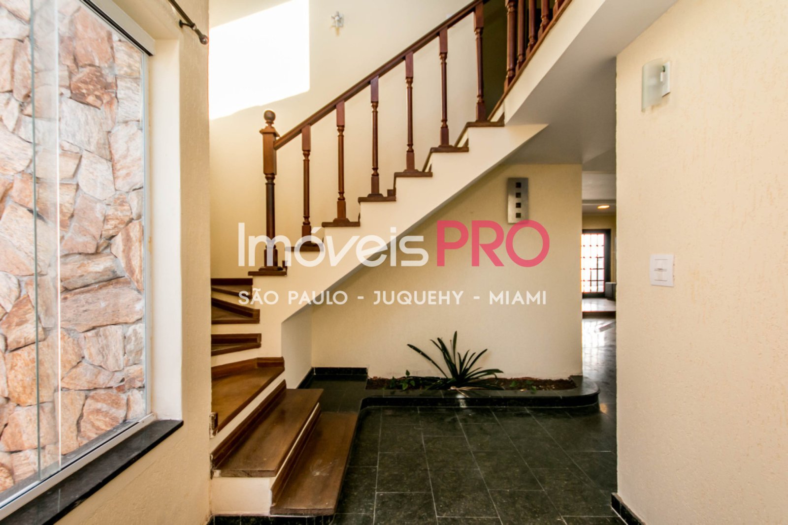 Foto :: IP39906
