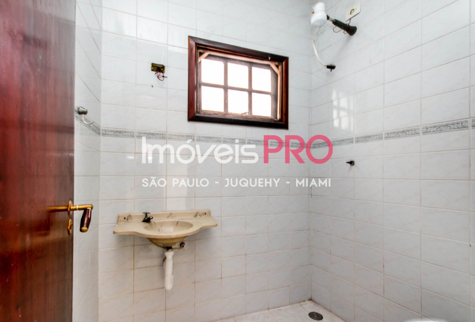 Foto :: IP39906