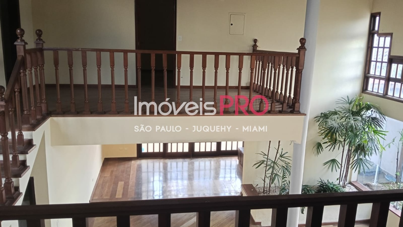 Foto :: IP39906