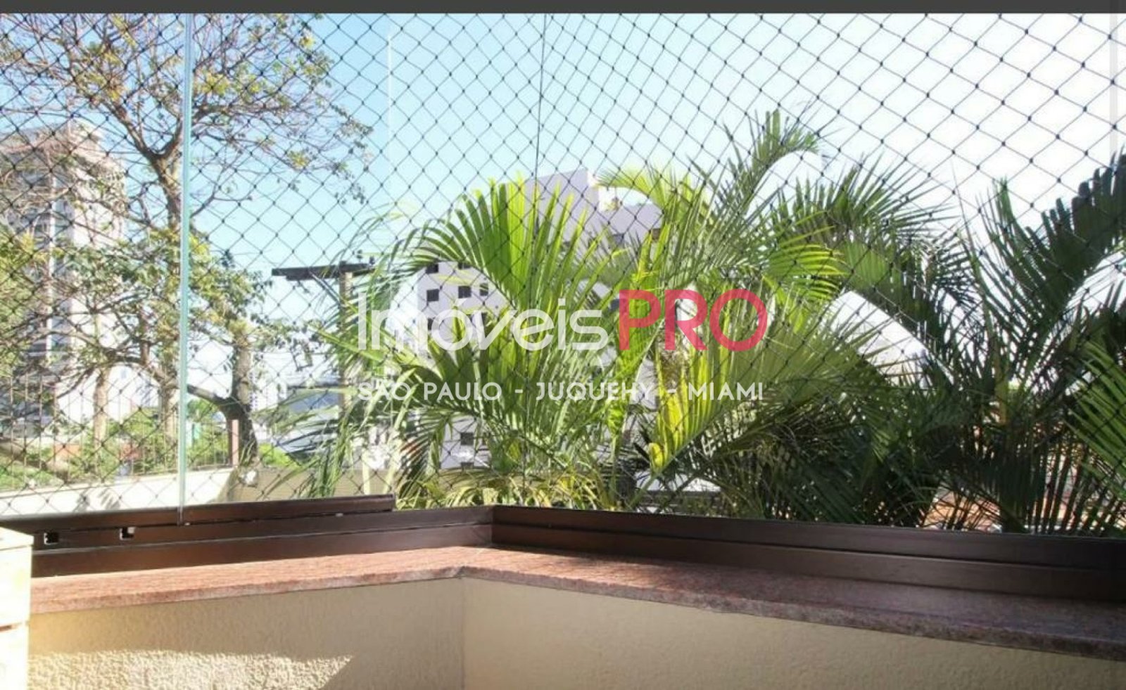 Foto :: IP39916