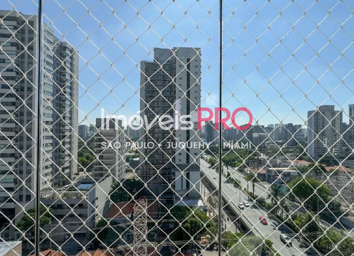 Foto :: IP39920