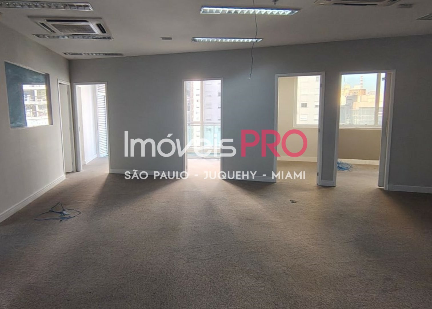 Foto :: IP39931