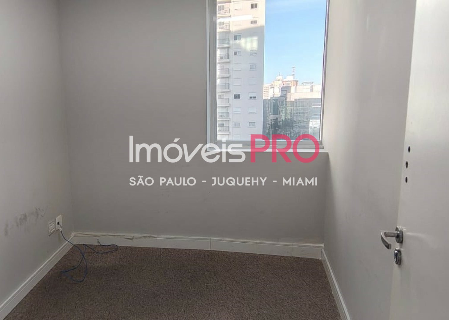 Foto :: IP39931