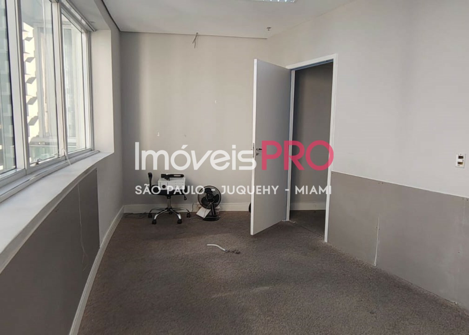 Foto :: IP39931