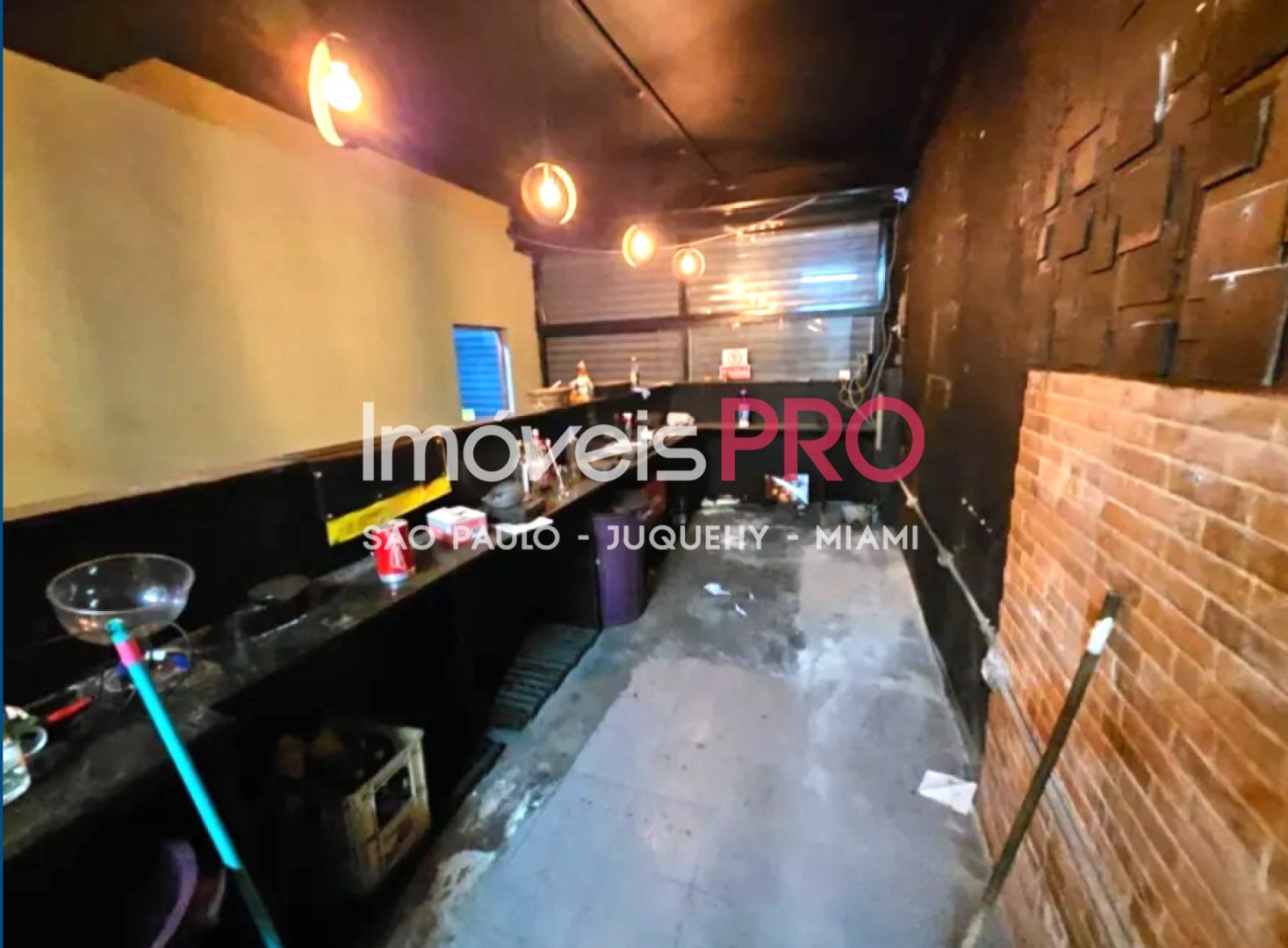 Foto :: IP39932