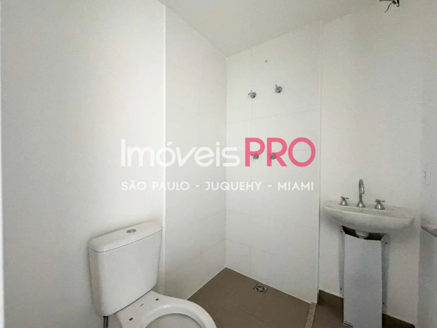 Foto :: IP39936