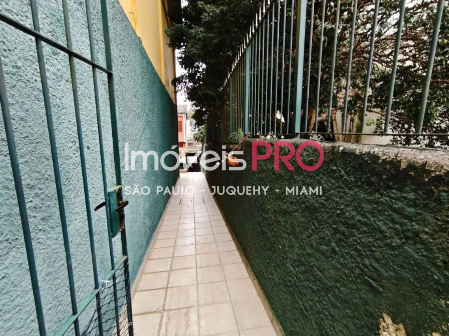 Foto :: IP39937