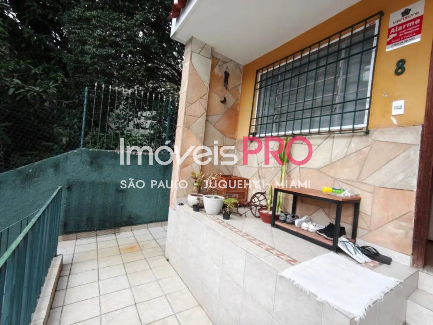 Foto :: IP39937