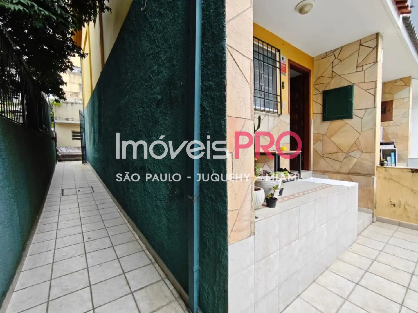 Foto :: IP39937