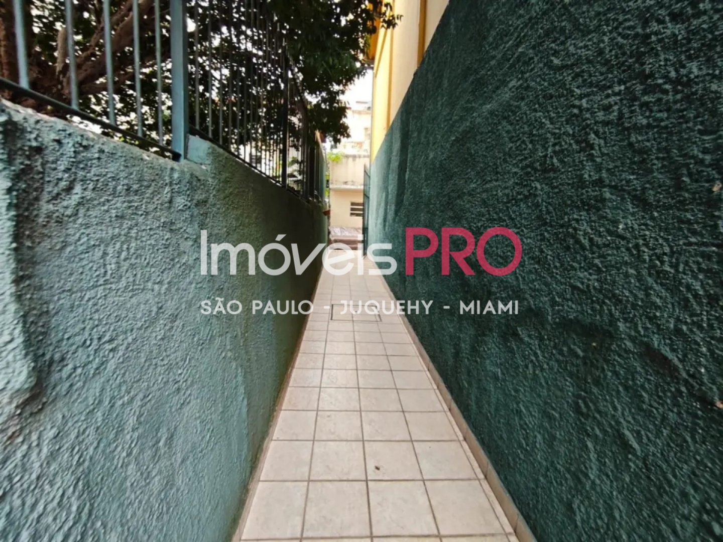 Foto :: IP39937