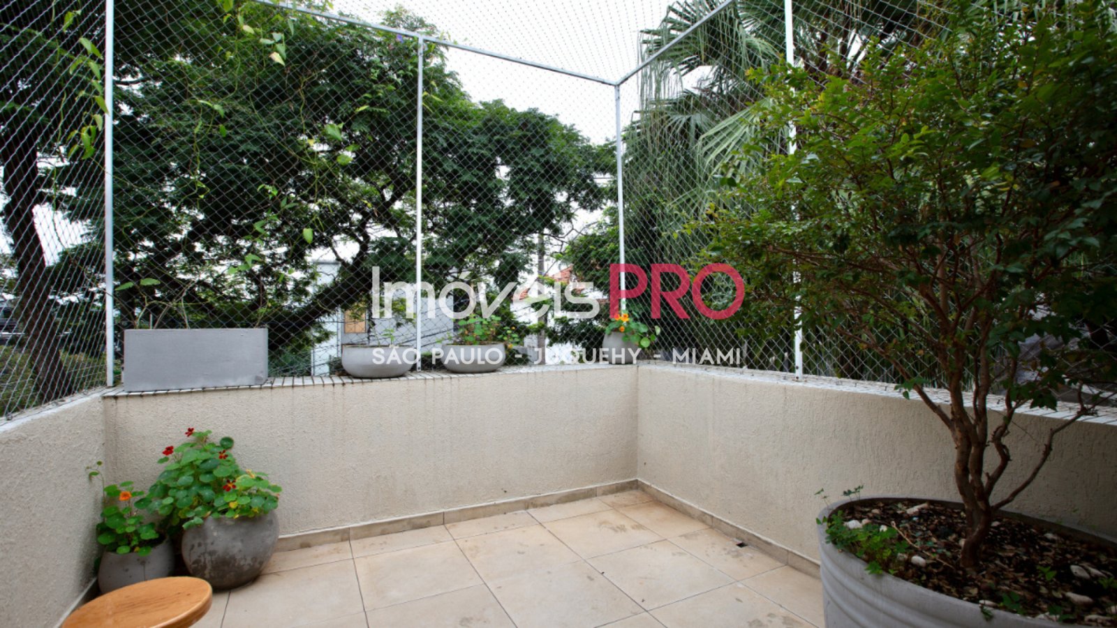 Foto :: IP39942