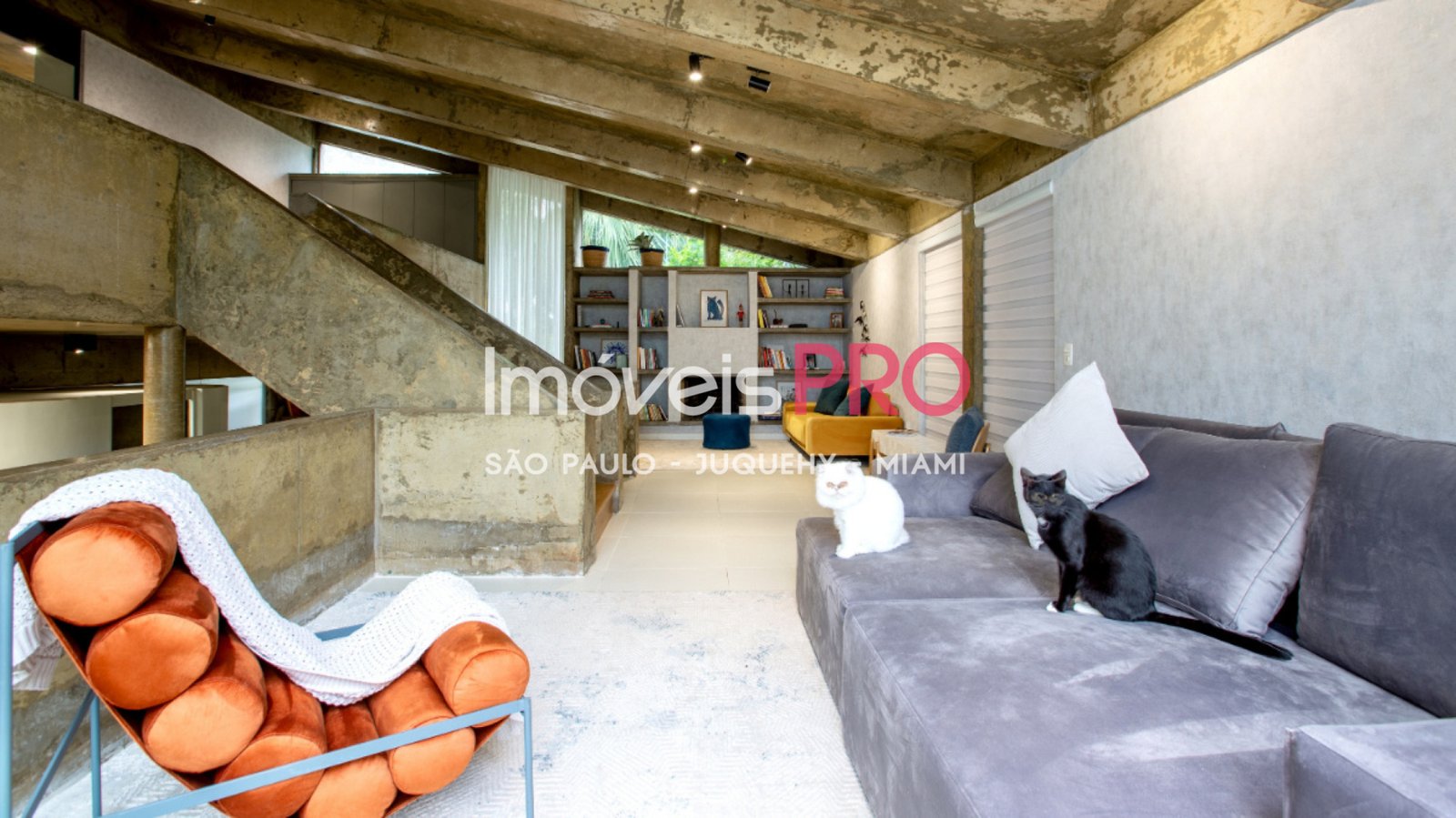 Foto :: IP39942