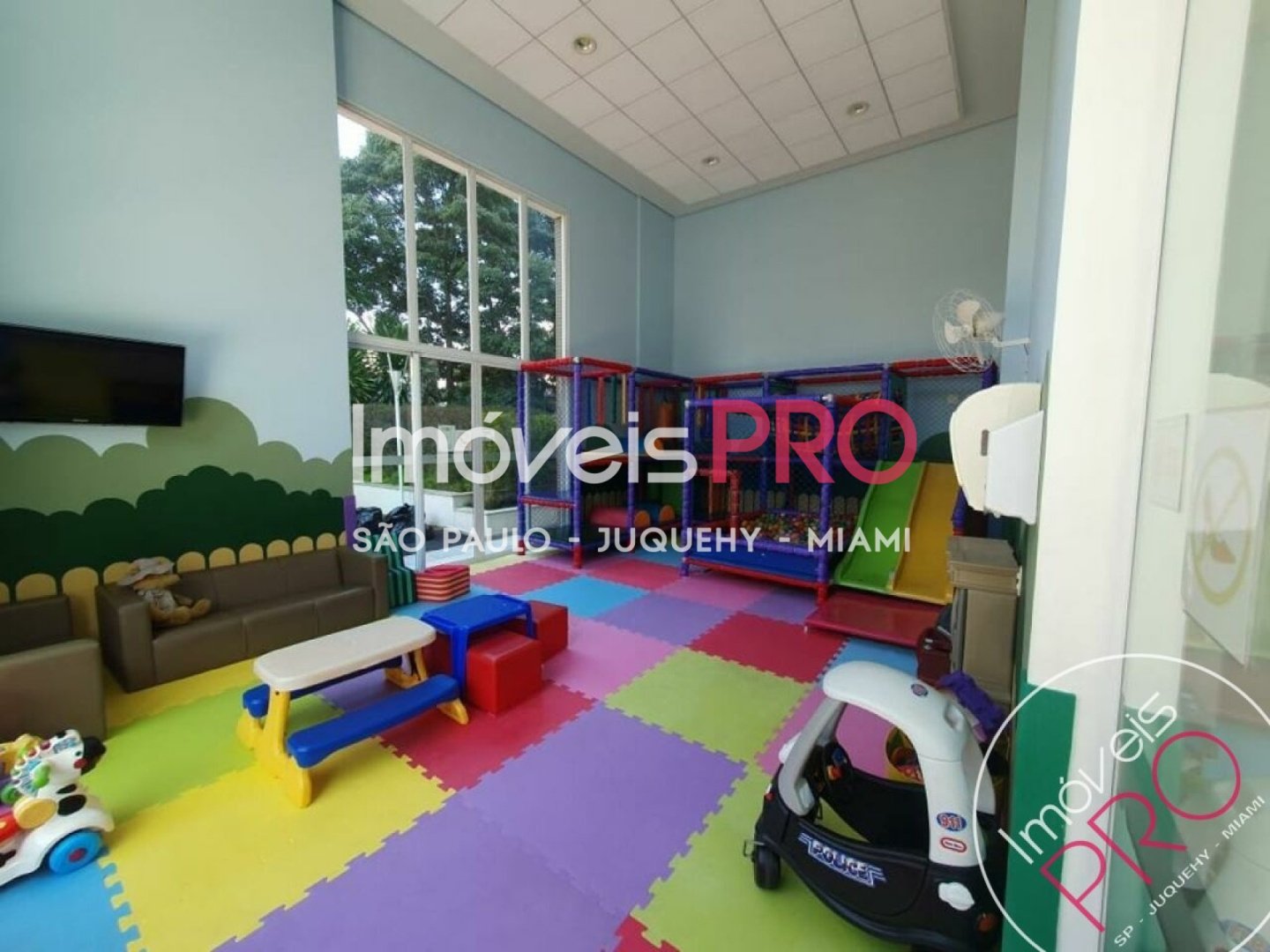 Foto :: IP39945