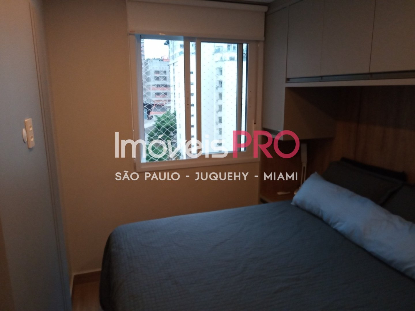 Foto :: IP39948