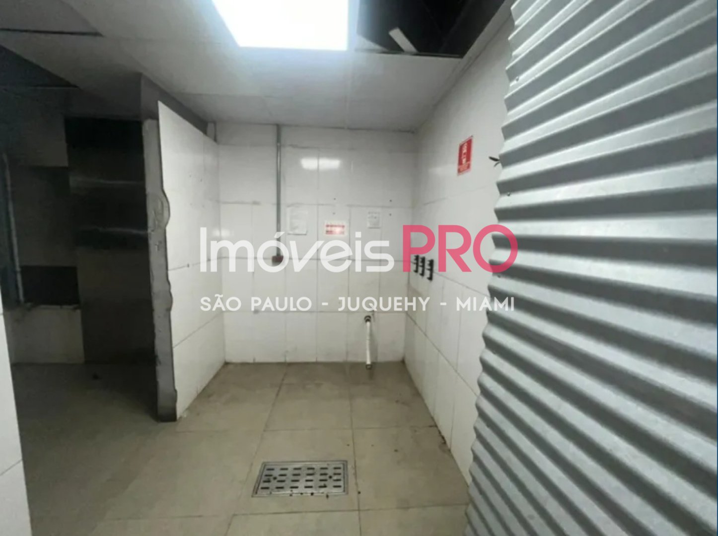 Foto :: IP39956