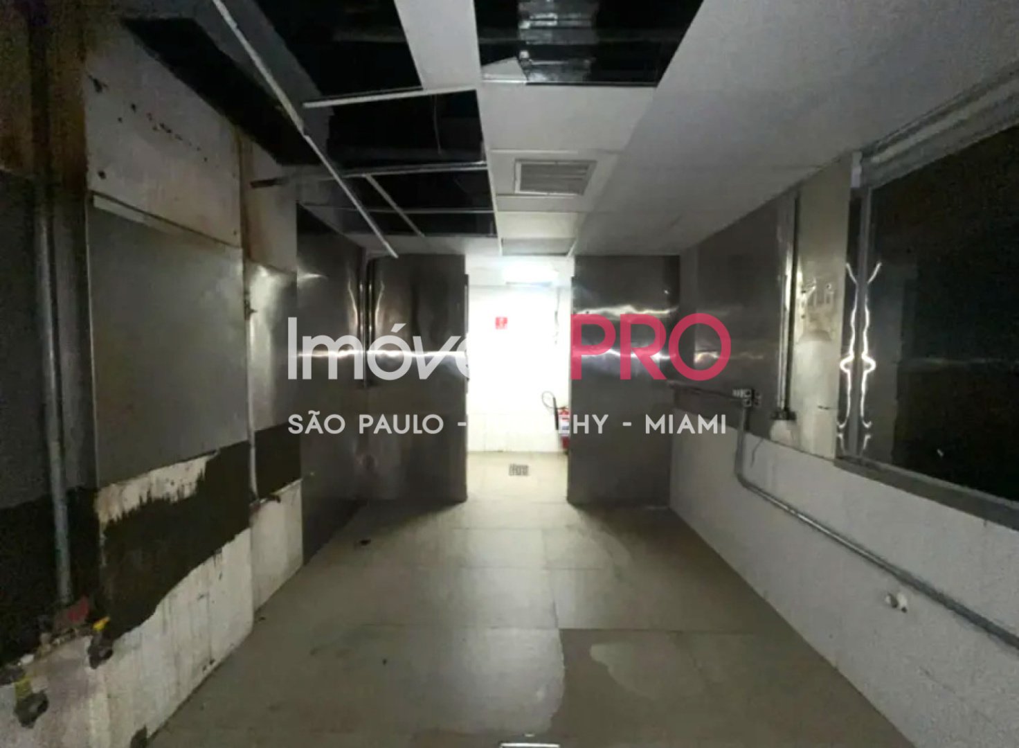 Foto :: IP39956